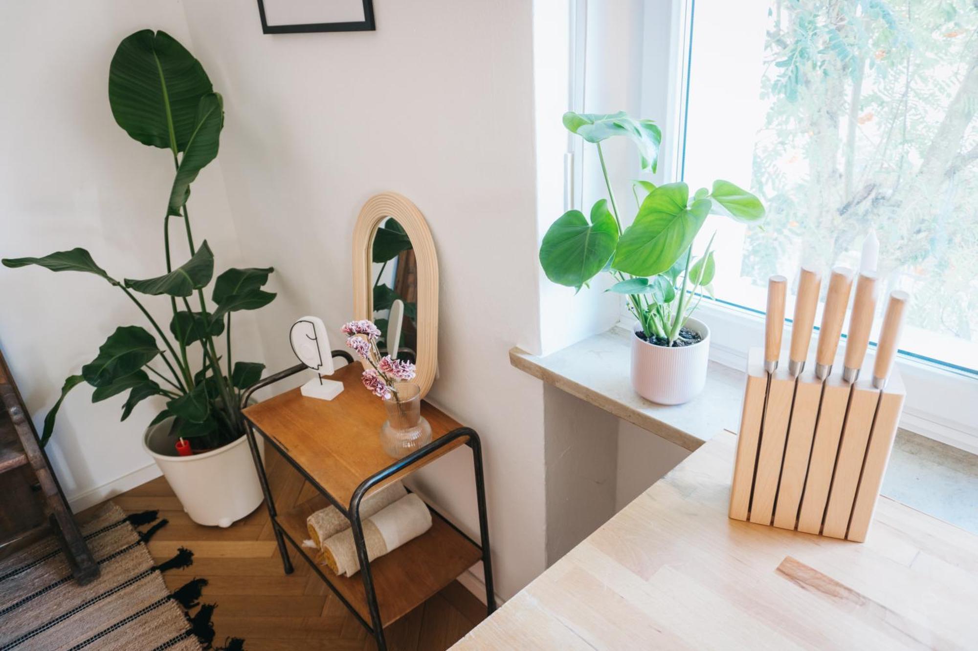 Апартаменти Raum Life - Vintage Loft - Heimkino Netflix - 2X Privat Parkplaetze Штраубінг Екстер'єр фото